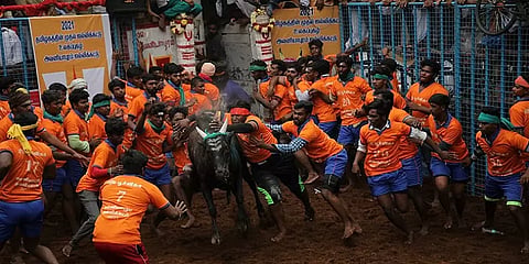 அனல் பறக்கும் அவனியாபுரம் ஜல்லிக்கட்டு... சீறும் காளைகள், அடக்க பாயும் வீரர்கள்! - ஆல்பம்