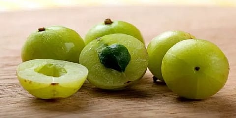 நெல்லிக்காயை இப்படி சாப்பிடுங்க... அதிக பலன் கிடைக்கும்!