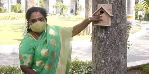 சிட்டுக்குருவிகள் பெருக்கத்தை அதிகரிக்க ஆளுநர் மாளிகையில் கூடுகள் பொருத்திய ஆளுநர் தமிழிசை