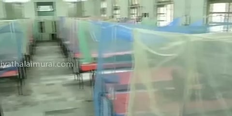 மதுரை அரசு மருத்துவமனையில் எலிகள் தொல்லை: நோயாளிகள் அதிர்ச்சி