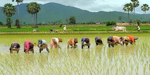 'கொரோனா 2-ஆம் அலையிலும் நாட்டுக்கு விவசாயிகள் கைகொடுப்பர். ஆனால்...' - பொருளாதாரப் பார்வை