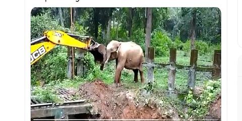 கூர்க்: பள்ளத்தில் விழுந்த யானையை ஜேசிபி எந்திரம் மூலம் காப்பாற்றிய வனத்துறையினர்!