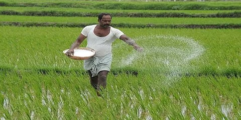 கொரோனா 2-வது அலை வேளாண் துறையை எந்த வகையிலும் பாதிக்காது: நிதி ஆயோக் உறுப்பினர்