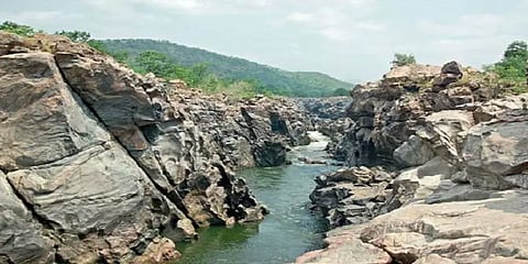 மேகதாது அணை விவகாரம்: தமிழகம் முழுவதும் நாளை விவசாயிகள் ஆர்ப்பாட்டம்