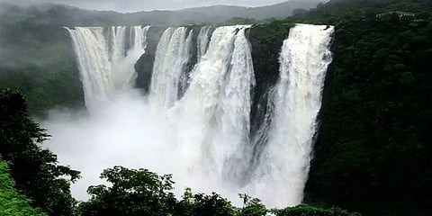 தென்மேற்குப் பருவமழை எதிரொலி - ஜோக் நீர்வீழ்ச்சியில் ஆர்ப்பரித்துக் கொட்டும் நீர்