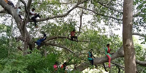 ராசிபுரம்: மரத்தின்மேல் ஏறி படிக்கும் மாணவர்கள்; செல்போன் டவர் அமைக்க அமைச்சர் உறுதி