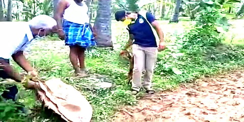 வேலூர்: கிணற்றில் தவறி விழுந்த நாய்க்குட்டி... உயிருடன் மீட்ட தீயணைப்புத் துறையினர்