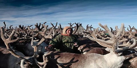 மழைக்காடுகள் தொடங்கி வெப்பமண்டல தீவுகள் வரை: பழங்குடியின மக்களின் வியக்க வைக்கும் வாழ்க்கை