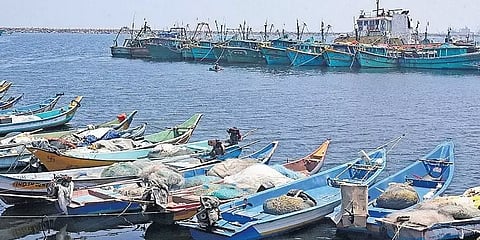 தமிழ்நாடு பட்ஜெட் 2021-22: காசிமேடு மீன்பிடித் துறைமுகத்தை மேம்படுத்த ரூ.150 கோடி