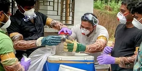 கேரளாவில் நிபா வைரஸால் இறந்த சிறுவனுடன் தொடர்பில் இருந்தவர்களில் 8 பேருக்கு பாதிப்பு இல்லை