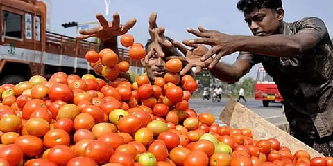 கிலோ ரூ.100ஐ தொடப்போகும் தக்காளி : விலை உயர்வை கட்டுப்படுத்துமா அரசு? - விரிவான அலசல்