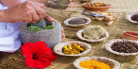 சித்த மருத்துவமும் மகத்துவமும் - ஓர் சிறப்புப் பகிர்வு