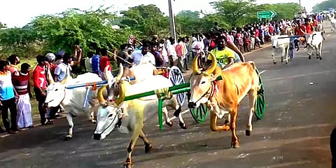 தூத்துக்குடி: மாட்டு வண்டி பந்தயம் - தடதடவென ஓடி பரிசுகளை தட்டிச் சென்ற மாடுகள்