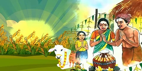 தமிழர் திருநாள்: உழவர்களின் வாழ்வுடன் பின்னிப்பிணைந்த பொங்கல் பண்டிகை - வரலாறு என்ன?