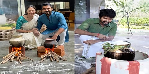 சினிமா பிரபலங்களின் பொங்கல் திருநாள் கொண்டாட்டம்: கலர்ஃபுல் புகைப்படத் தொகுப்பு