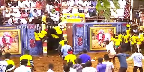 நீயா நானா: காளையும் காளையரும் மல்லுக்கட்டும் சூரியூர் ஜல்லிக்கட்டு