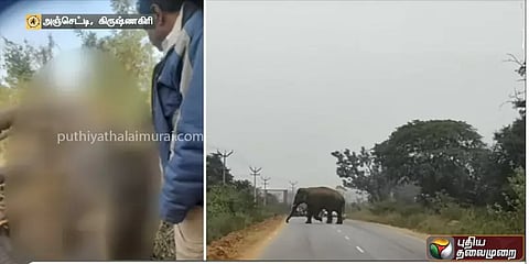 மர்மமான முறையில் இறந்து கிடந்த யானை! துப்பாக்கியால் சுடப்பட்டது உடற்கூராய்வில் அம்பலம்