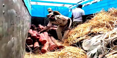 உத்தரப்பிரதேச மாநில லாரியில் கடத்தி வரப்பட்ட 3 டன் செம்மரக்கட்டைகள் பறிமுதல்