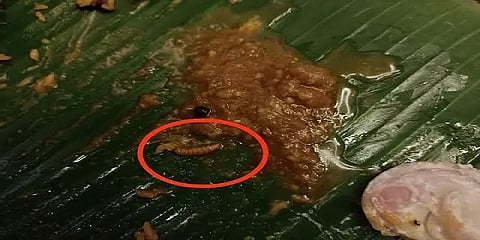 பிரியாணி கடையில் வழங்கப்பட்ட உணவில் புழு: வழக்கில் திடீர் திருப்பம்: என்ன அது?