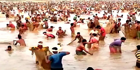 பொன்னமராவதி அருகே நடைபெற்ற மீன்பிடித் திருவிழா: போட்டிபோட்டு மீன் பிடித்த மக்கள்