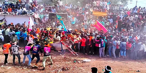 சீறிவந்த காளைகள் சினம்கொண்டு அடக்கிய காளையர்: ஒசூர் அருகே நடைபெற்ற எருதுவிடும் விழா