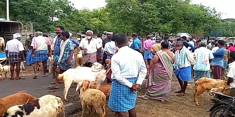 சித்திரை திருவிழா காலம்: புஞ்சைபுளியம்பட்டி சந்தையில் ஆடுகள் விற்பனை அமோகம்