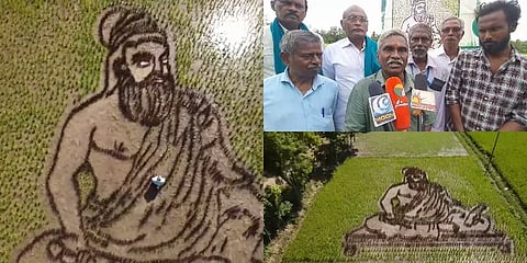 திருவள்ளுவர் உருவத்தில் நெல் நடவு செய்து அசத்திய கும்பகோணம் விவசாயி இளங்கோவன்!