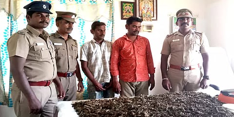 பெயிண்டராக நடித்து கஞ்சா விற்பனையில் ஈடுபட்ட இருவர் கைது – 7 கிலோ கஞ்சா பறிமுதல்