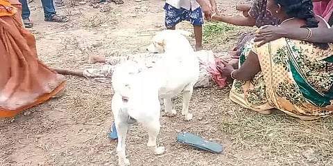 நீரில் மூழ்கி உயிரிழந்த மாணவிகள்.. சோகத்தில் சடலத்தையே சுற்றிவந்த வளர்ப்பு நாய்!