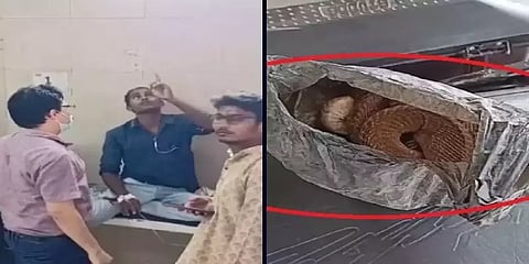 ”என்ன கடிச்ச பாம்பு செத்துருச்சு” -இறந்த கிங் கோப்ராவுடன் மருத்துவமனைக்கு வந்த போதை ஆசாமி!