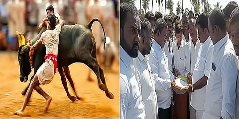 தாராமங்கலம்: 500 காளைகளுடன் முதல் முறையாக நடத்தப்படவிருக்கும் ஜல்லிக்கட்டு போட்டிகள்!