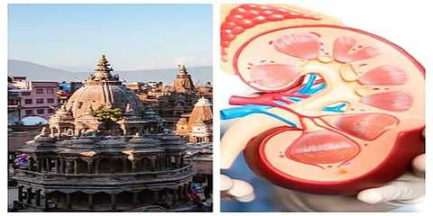 இந்திய பணக்காரர்களுக்காக குறிவைக்கப்படும் நேபாள ஏழைகள் - அதிரவைக்கும் சிறுநீரக திருட்டு!