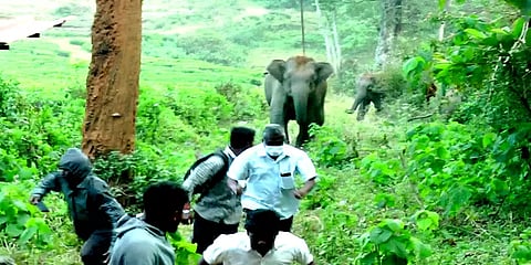`என்னையவே ஃபோட்டோ எடுக்றீங்களா...’ ஆவேசமாக துரத்திய காட்டு யானை; தலைதெறிக்க ஓடிய மக்கள்!