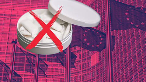 EU:s läckta plan: Höj skatten på vitt snus med 500%