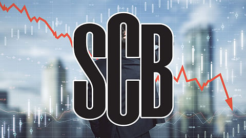 SCB: Nästan hälften av unga med utländsk bakgrund har bristande läsfärdigheter