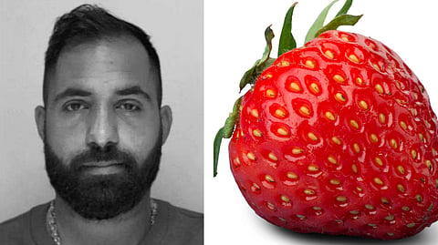 Ismail "Jordgubben" Abdo | Foto: Polisen, Genrebild
