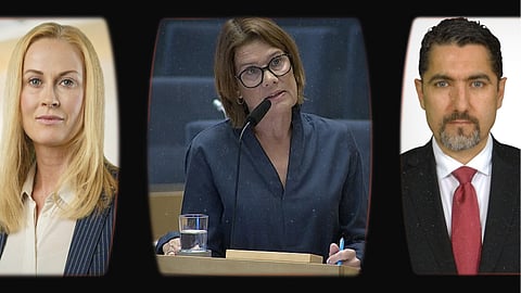 Nima Rostami: Att utmana den politiska adeln är inget hot mot demokratin