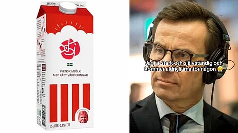 Socialdemokraternas TikTok får vänstern att skämmas: "Inte såhär man vinner val"