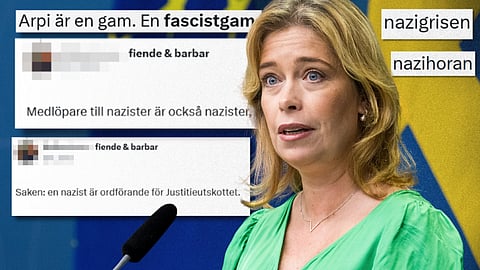 Annika Strandhäll (S)