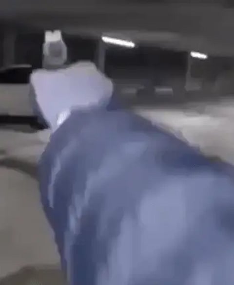 Video på dödsskjutning sprids – Polisen kan inte bekräfta koppling till mordet på Gaboro i Norrköping
