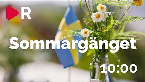 Sommargänget: Varför måste alla vara "svenskar"?