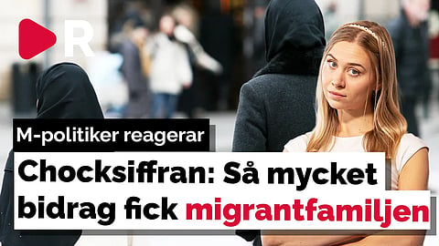 Chocksiffran: Så mycket bidrag fick migrantfamiljen