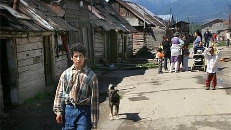 V osadách chcú zaviesť evidenciu a kastráciu túlavých psov a mačiek.
