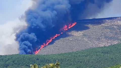 Požiare pri Madride sa šíria. Opatrenia zasiahli už 40-tisíc ľudí