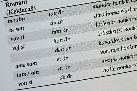 Dnes je Medzinárodný deň rómskeho jazyka.