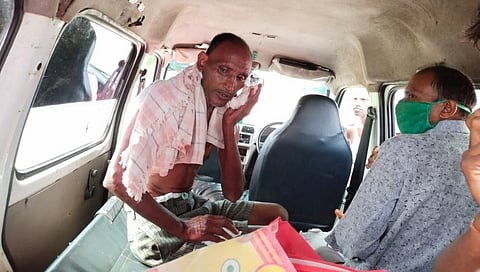 वाघाच्या बछड्याच्या हल्ल्यात शेतकरी जखमी...