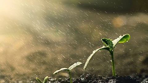 महाराष्ट्राच्या देवभूमीत खरीप पिकांना जिवदान