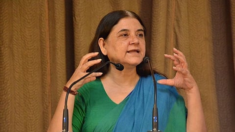 मनेका गांधी