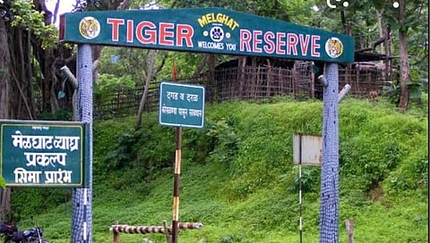 मेळघाट व्याघ्र प्रकल्प पर्यटकांसाठी खुला