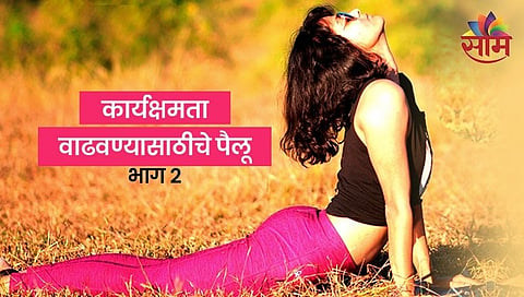 कार्यक्षमता वाढवण्यासाठीचे पैलू- भाग २